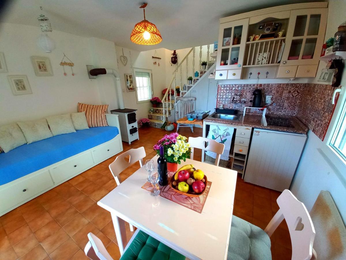 Honey Hill Apartment Fruska Gora Cerevic Exterior photo
